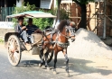 Horse-drawn carriage, Java Indonesia